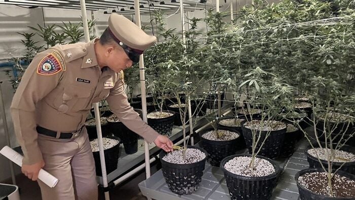 Toilet drug kitchen busted in Bangkok cannabis snack raid | News by Thaiger