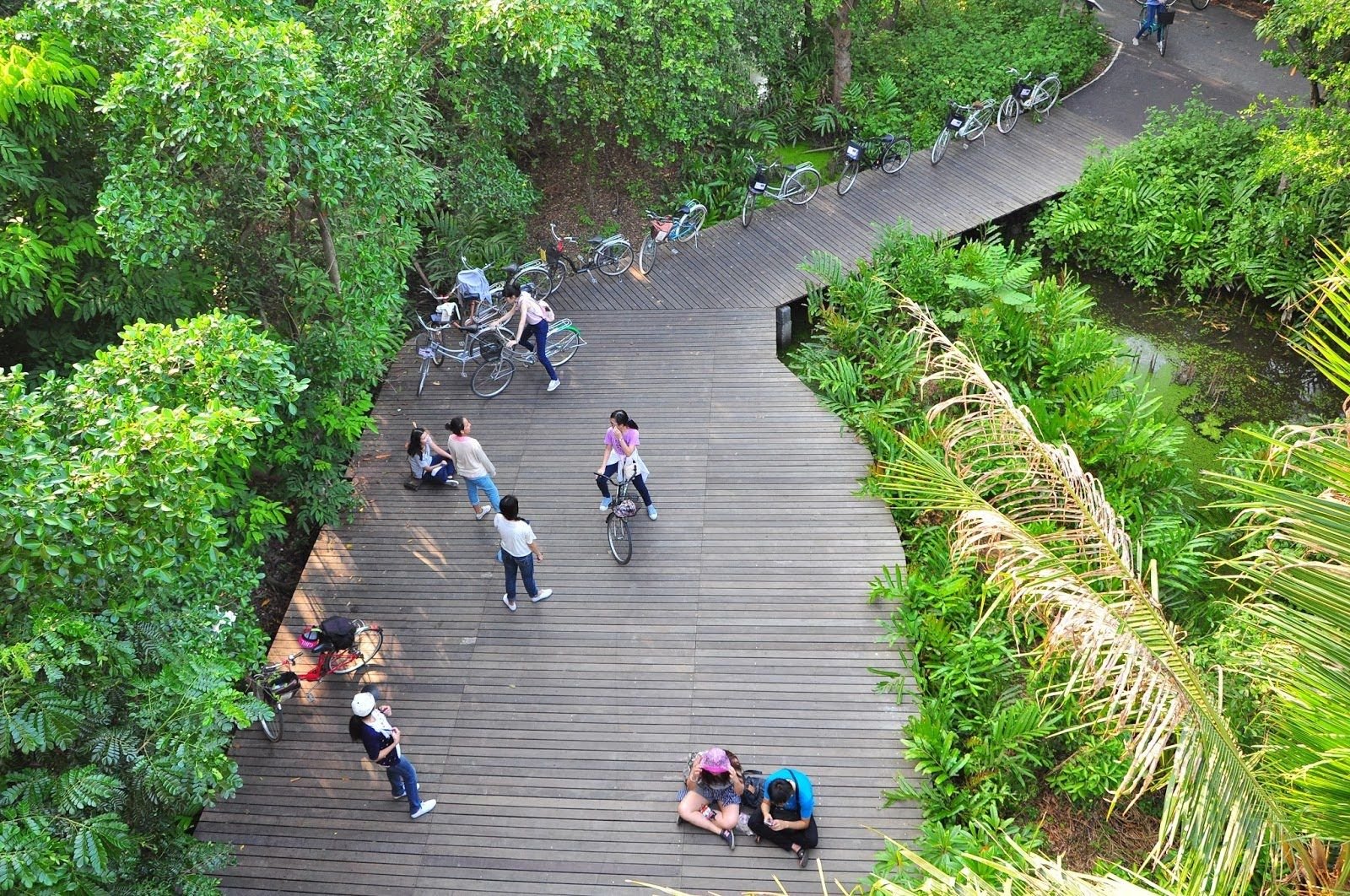 Bangkok’s 'green lung' boosted by Thai-Norwegian push | News by Thaiger