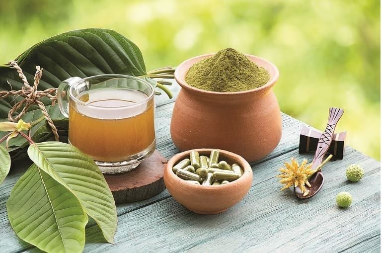 Thailand eyes kratom crackdown amid abuse fears | News by Thaiger