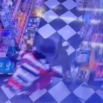 Monitor lizard crashes through ceiling at Ayutthaya beauty shop | Thaiger