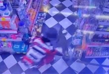 Monitor lizard crashes through ceiling at Ayutthaya beauty shop | Thaiger