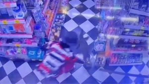 Monitor lizard crashes through ceiling at Ayutthaya beauty shop | Thaiger