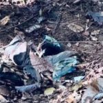 Thai ranger loses leg in landmine blast near Cambodia border | Thaiger