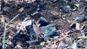 Thai ranger loses leg in landmine blast near Cambodia border | Thaiger