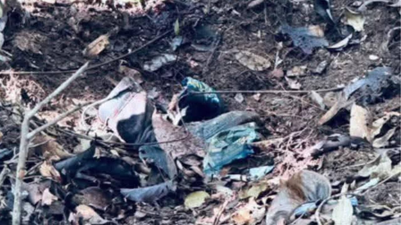 Thai ranger loses leg in landmine blast near Cambodia border | Thaiger