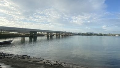 Search underway for man who jumped from Sarasin Bridge, Phuket | Thaiger