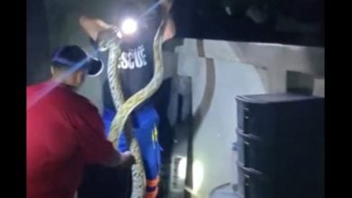 Giant python captured in Phuket garden by British volunteer | Thaiger