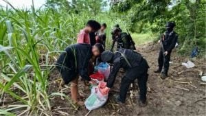 Migrant workers caught in Aranyaprathet sugarcane fields | Thaiger