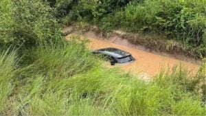 Electric car plunges into canal in Nakhon Sawan, driver escapes | Thaiger