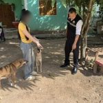 Boy hospitalised after dog attack prompts compensation dispute | Thaiger