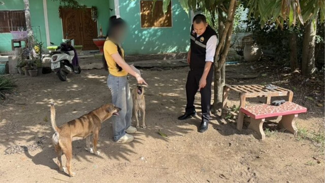 Boy hospitalised after dog attack prompts compensation dispute | Thaiger