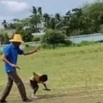 Songkhla teacher under fire after alleged assault on pupil (video) | Thaiger