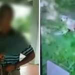 Caught red handed: man admits sexually abusing dog in Songkhla Public Park | Thaiger