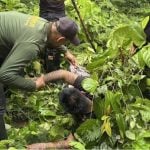 Nong Khai police thwart meth smuggling with million pills seized | Thaiger