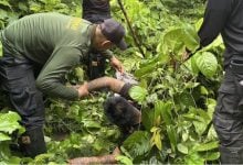 Nong Khai police thwart meth smuggling with million pills seized | Thaiger
