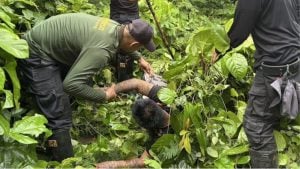 Nong Khai police thwart meth smuggling with million pills seized | Thaiger