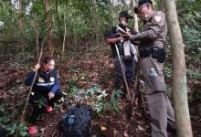 Body of tourist found decomposed in Doi Suthep forest, Chiang Mai | Thaiger