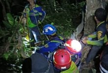 Gruesome murder mystery unfolds in Trang forest | Thaiger