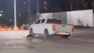 Phuket locals demand action after foreigners drift pickup outside convenience store | Thaiger