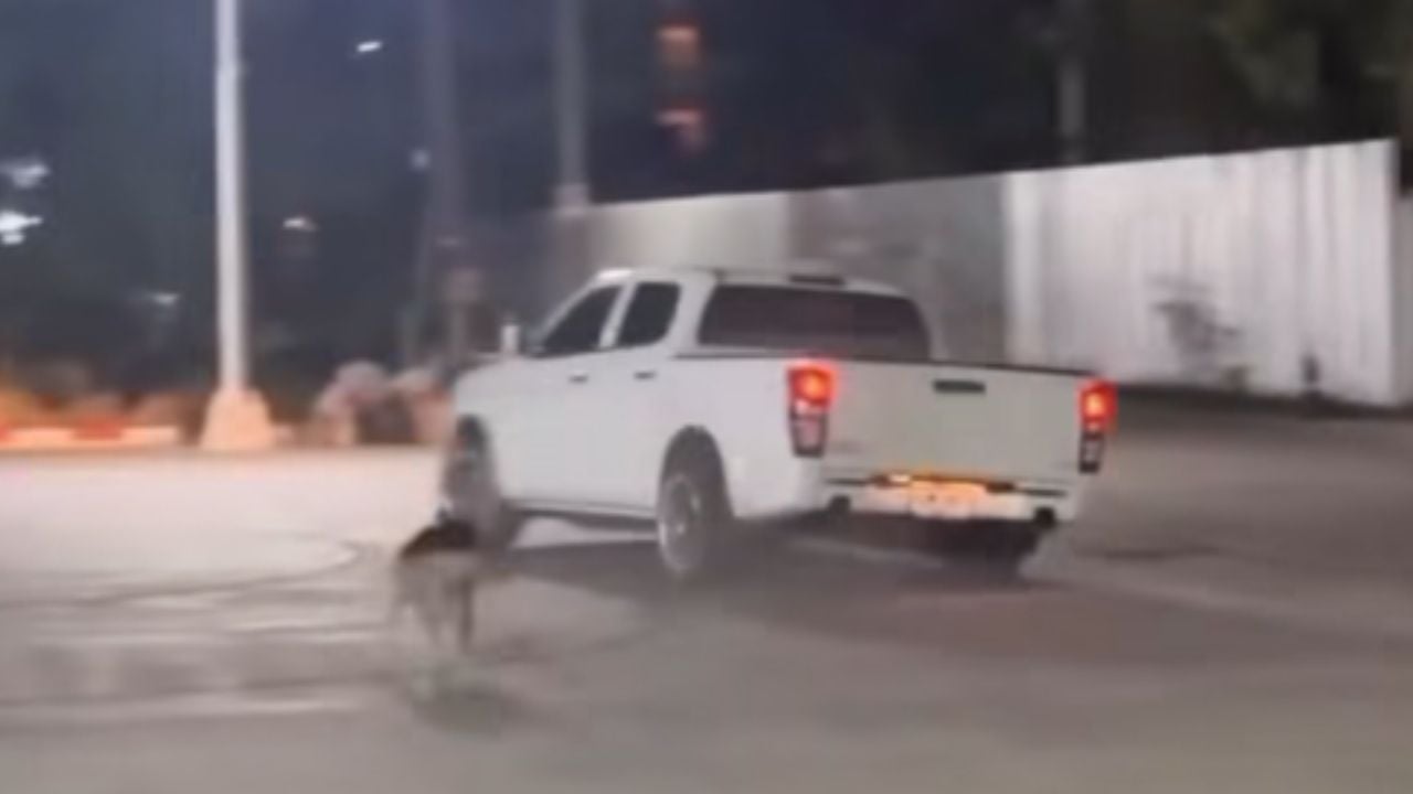 Phuket locals demand action after foreigners drift pickup outside convenience store | Thaiger