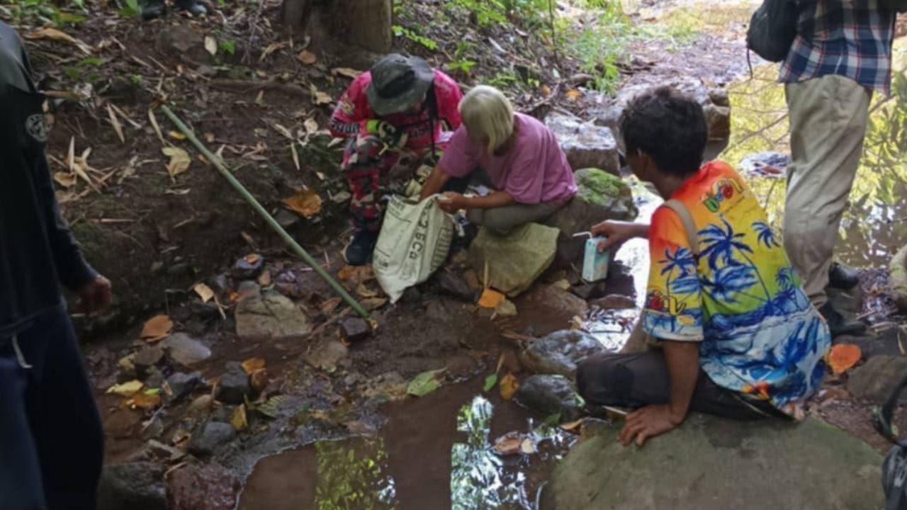 Elderly Thai woman survives after three days in forest