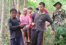 79 year old Thai woman rescued after 3 days lost in Phitsanulok forest | Thaiger