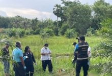 Loan shark conflict suspected after man found dead in Phatthalung plantation | Thaiger