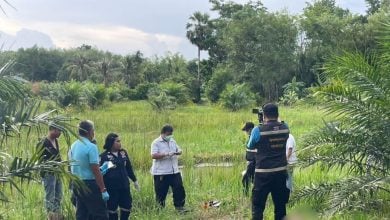 Loan shark conflict suspected after man found dead in Phatthalung plantation | Thaiger
