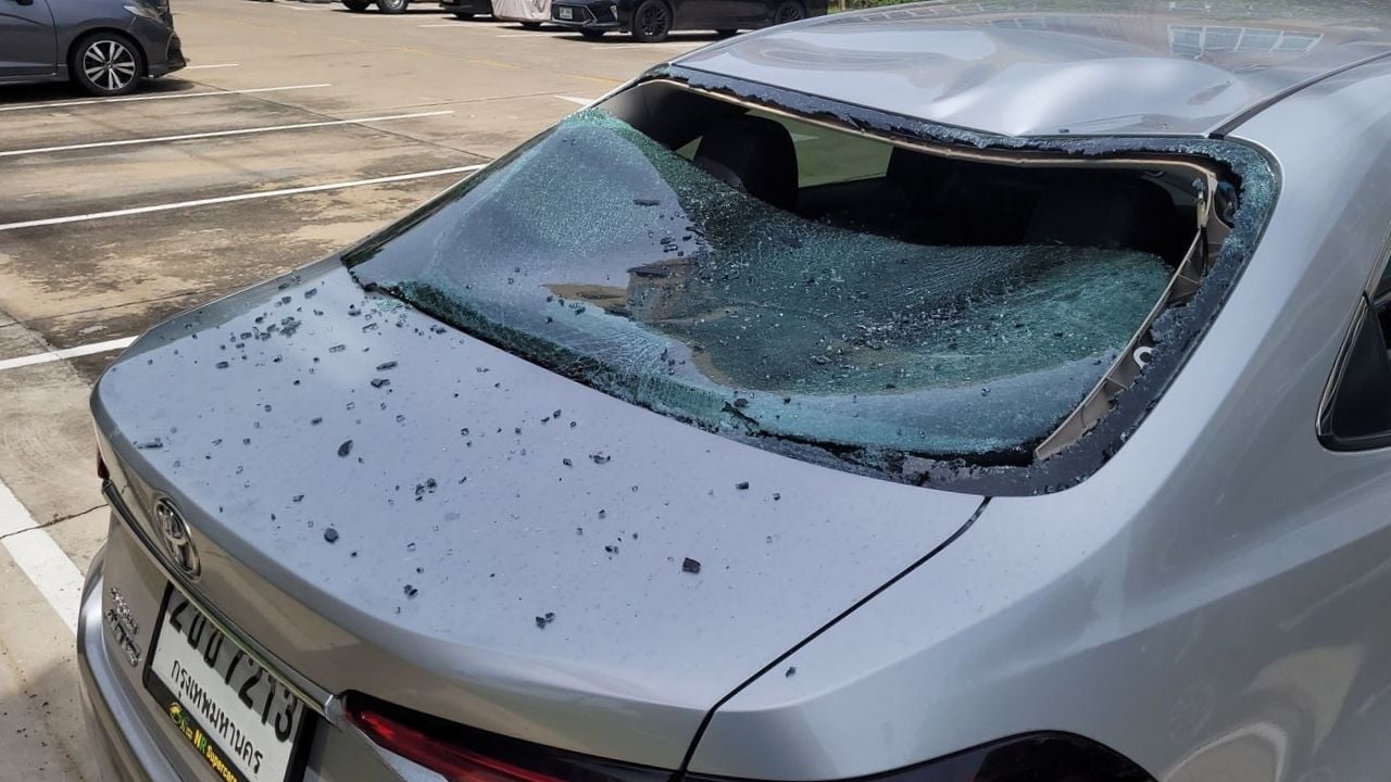 Electrocuted long-tailed macaque broke rear vehicle window