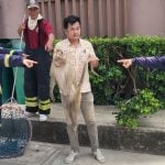 Electrocuted monkey falls onto car, shattering rear window | Thaiger