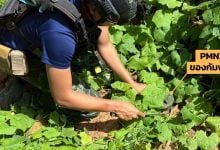 Thai army says Cambodia misuus landmine clearance funds amid fresh blast | Thaiger