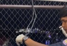 Thai man commits suicide on girlfriend’s video call after being rejected by ex-wife | Thaiger