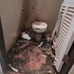 3 teenagers arrested for burning disabled dog in Lampang temple | Thaiger