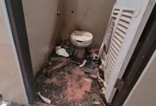 3 teenagers arrested for burning disabled dog in Lampang temple | Thaiger