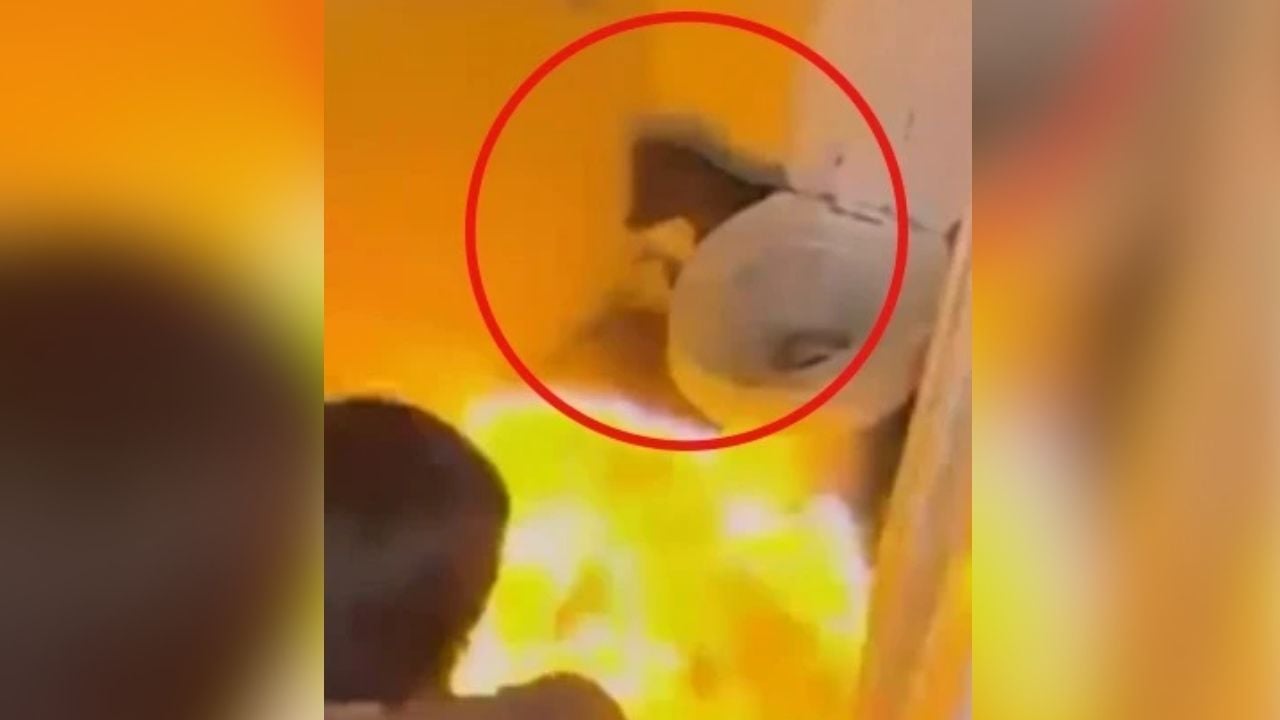 disabled dog burned alive by Thai teenagers in Lampang