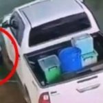 Teacher&#8217;s husband runs pickup over schoolboy, leaving child in critical condition | Thaiger