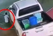 Teacher’s husband runs pickup over schoolboy, leaving child in critical condition | Thaiger