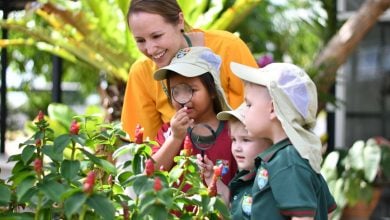 Tara Pattana International School joins International Schools Partnership | Thaiger