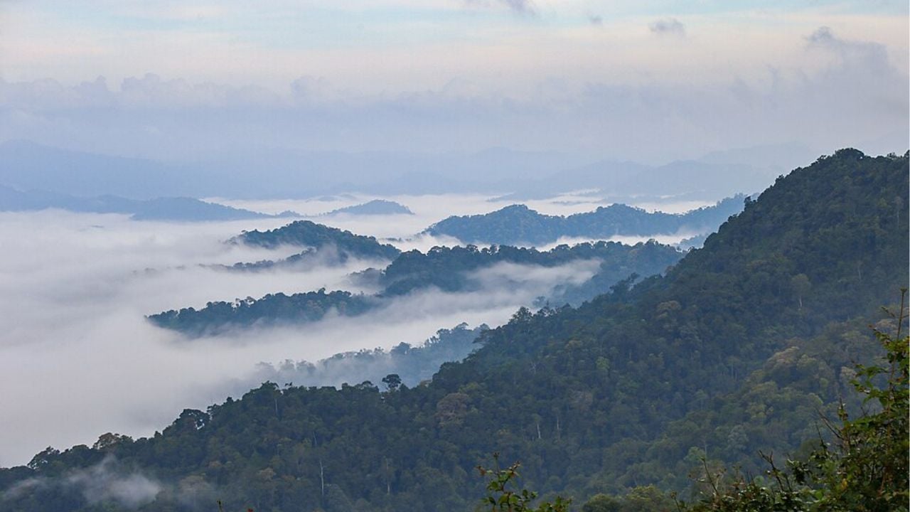 The Khao Phanoen Thung viewpoint at Kaeng Krachan National Park | Photo by Kriengsak Jirasirirojanakorn taken from Wikipedia