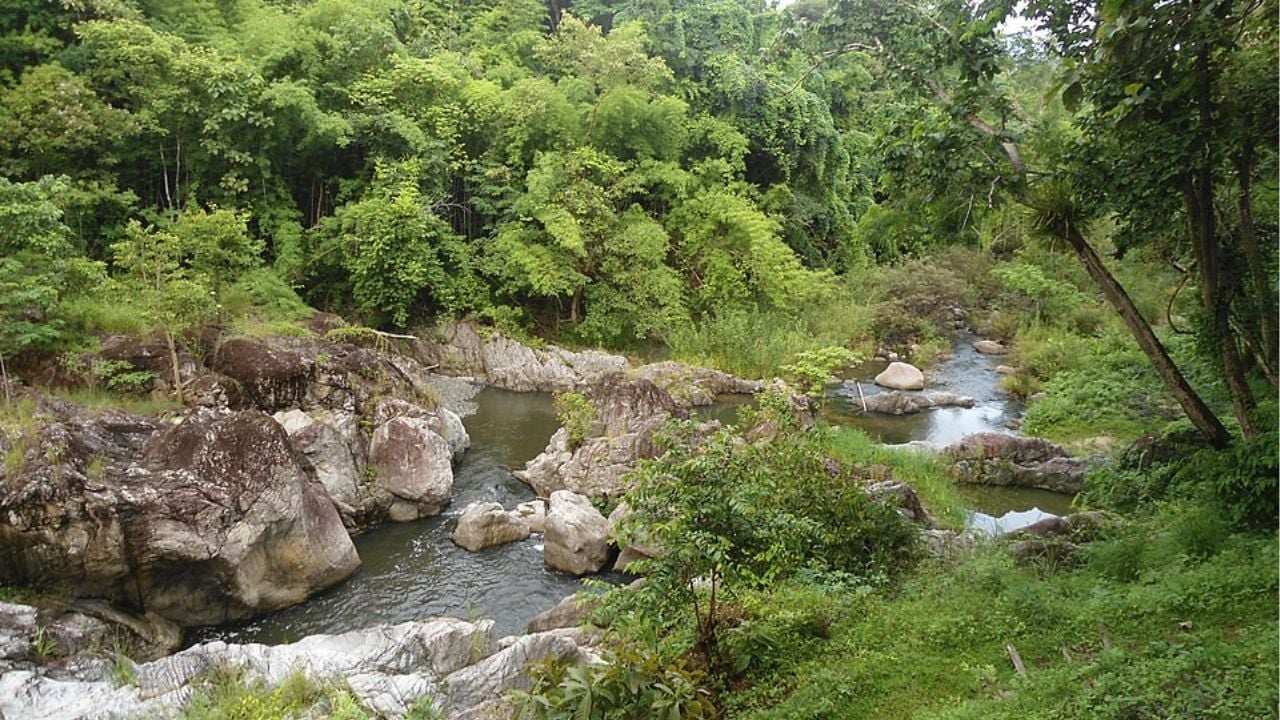 Khong Klung Creek at Mae Wong National Park | Photo by Teeradondon from Wikipedia