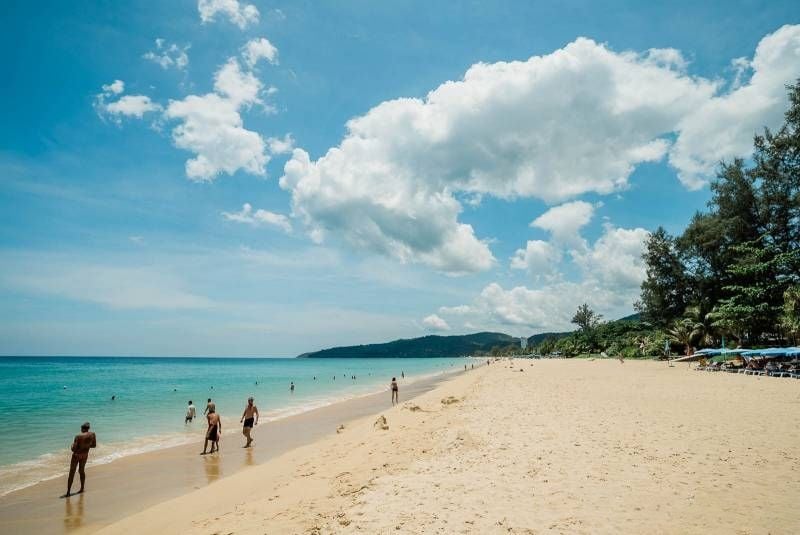 Beach alert: Deadly blue dragons invade Phuket shore | News by Thaiger