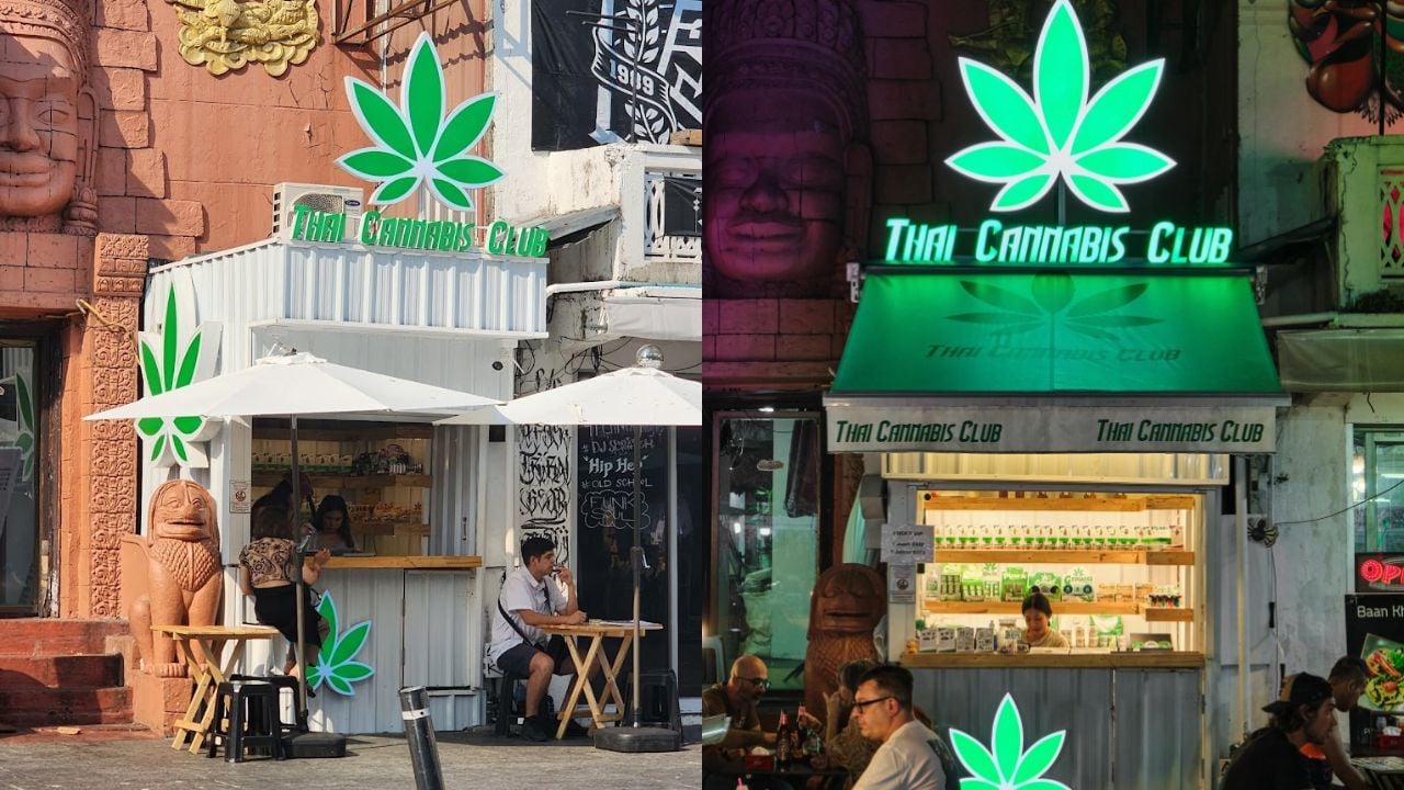 Thai Cannabis Club, a dispensary in Khao San Road