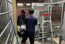 Pattaya police launch ‘Clean Station’ blitz to impress tourists | Thaiger