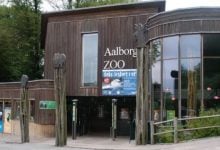 Danish zoo wants your unwanted pets for predator meals | Thaiger