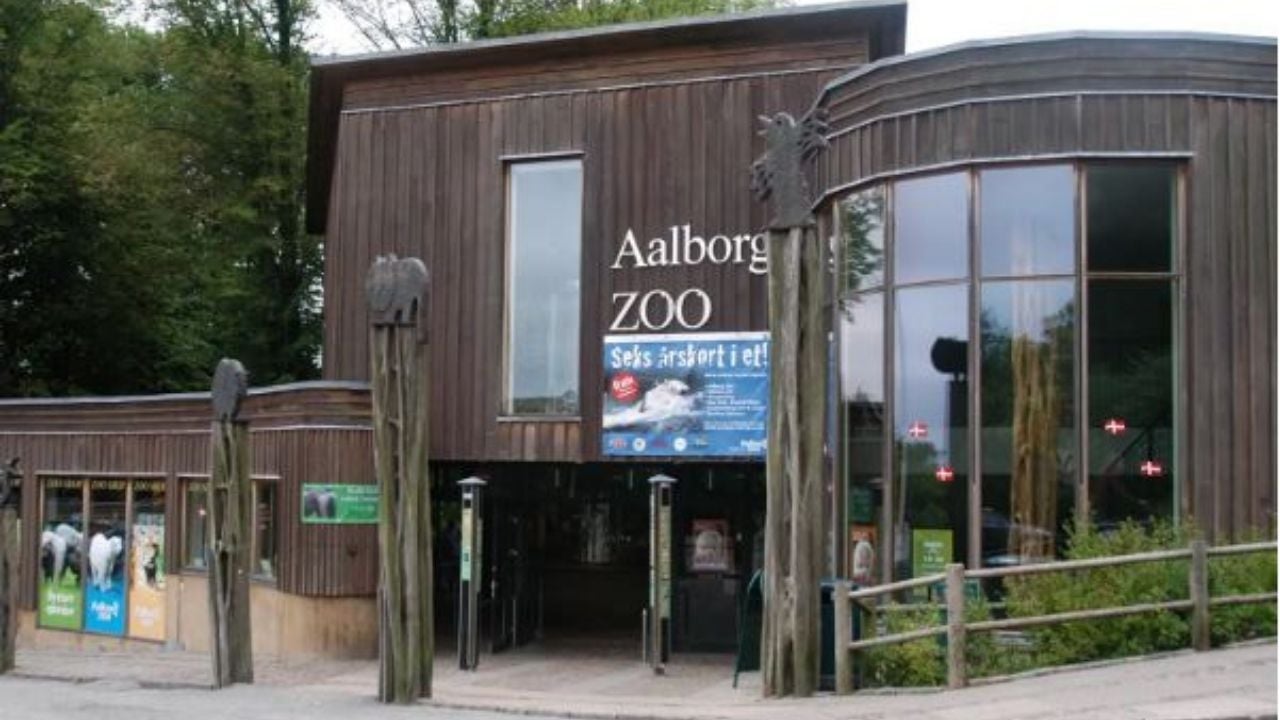 Danish zoo wants your unwanted pets for predator meals | Thaiger