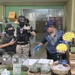 Cops bust Pattaya kratom shop in drug den raid | Thaiger