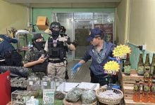 Cops bust Pattaya kratom shop in drug den raid | Thaiger