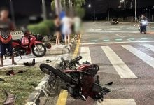 Tourist thrown into palm tree in Pattaya bike crash | Thaiger