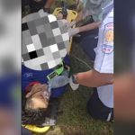 Phang Nga worker’s leg mangled in shrimp pond horror (video) | Thaiger