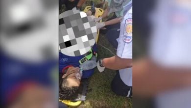 Phang Nga worker’s leg mangled in shrimp pond horror (video) | Thaiger